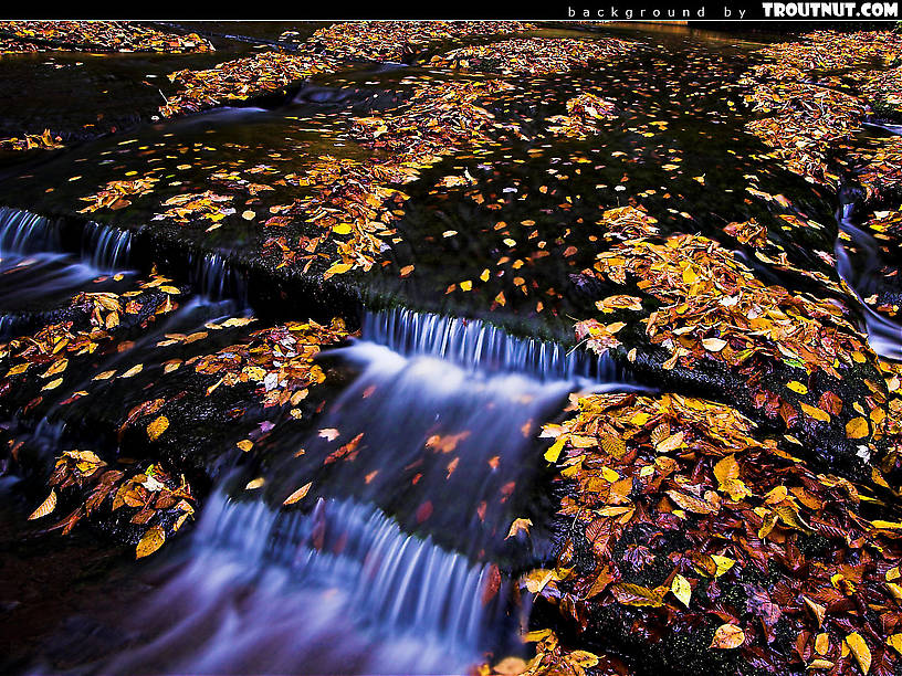 scenic desktop background for download #71