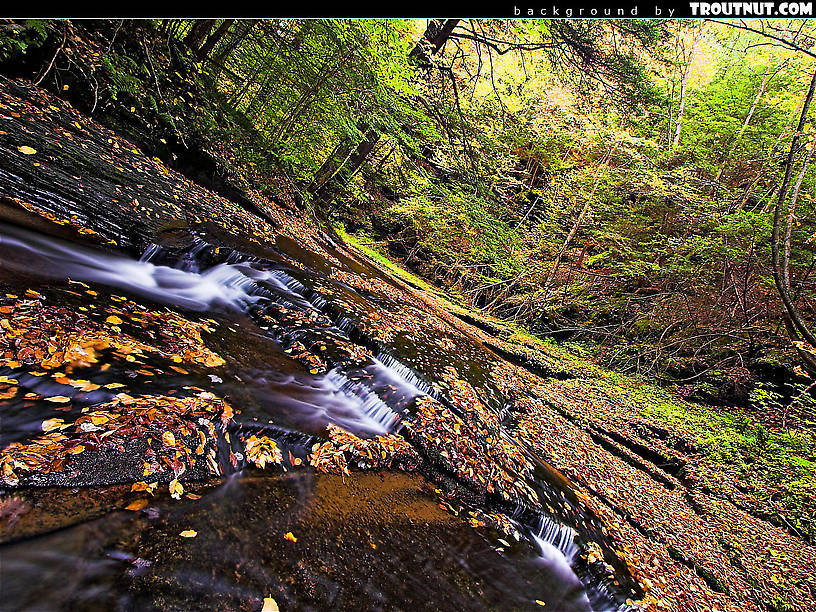 scenic desktop background for download #75