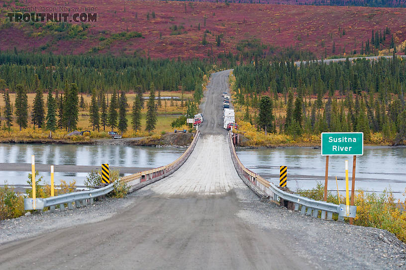 The Susitna River is one of the best access points to the vast wilderness away from the highway, so many hunters parked here and launched boats for long trips on the water.