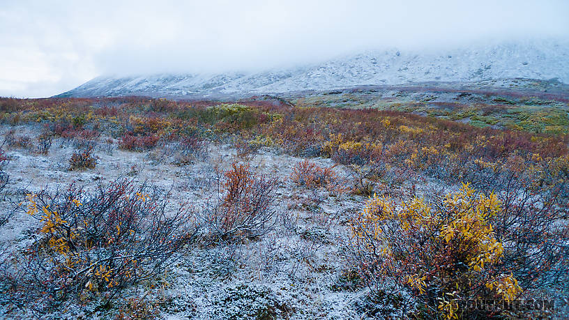 Small, grassy, easy-walking clearings were few and far between.