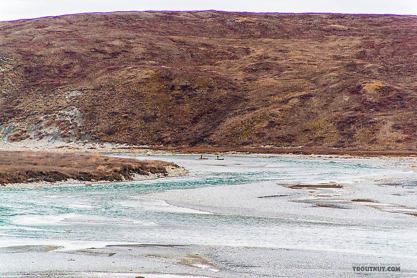 Two hunters lining canoes up the Ribdon behind me.