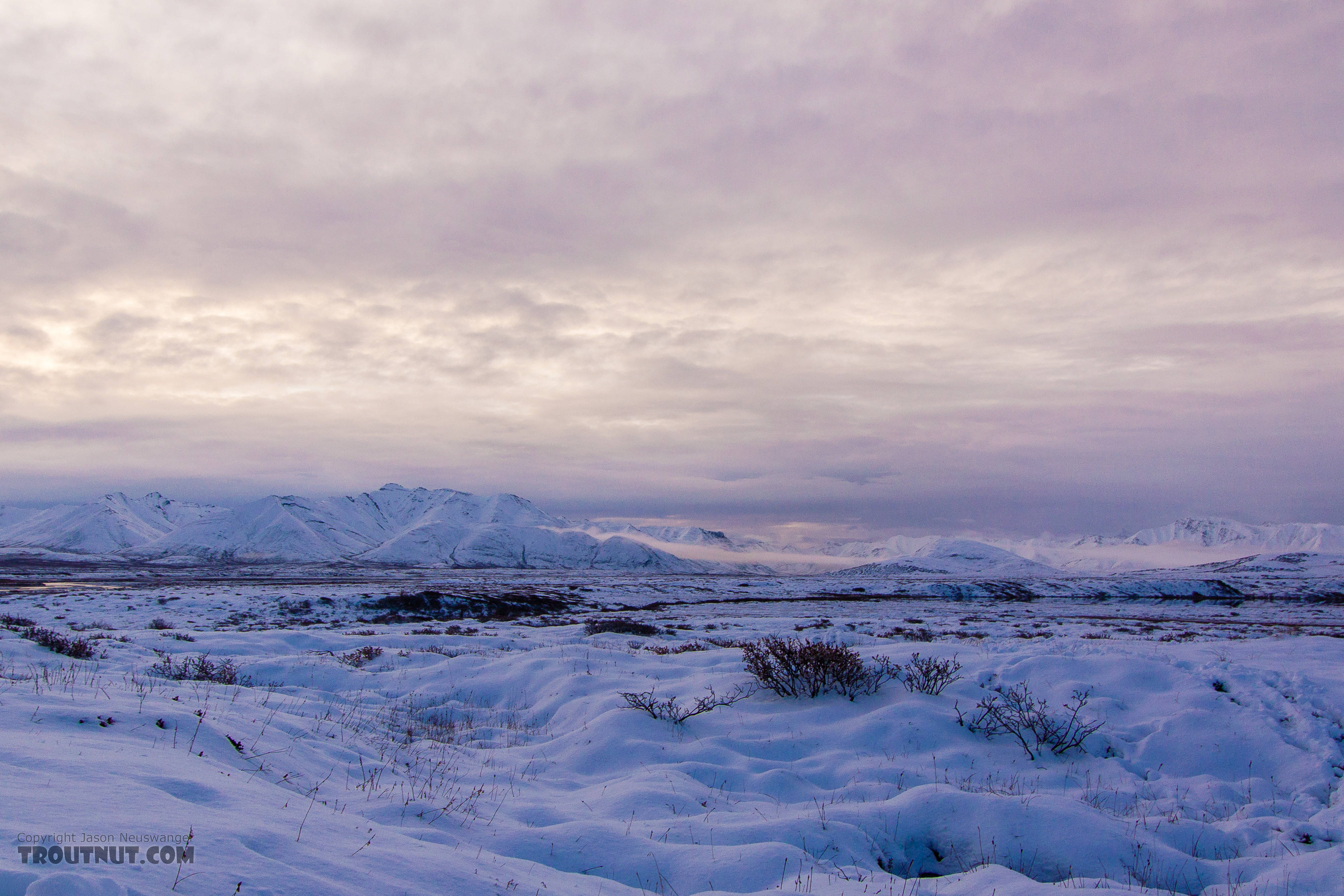 Sunrise over the mountains of the upper Ribdon River in the Arctic National Wildlife Refuge.