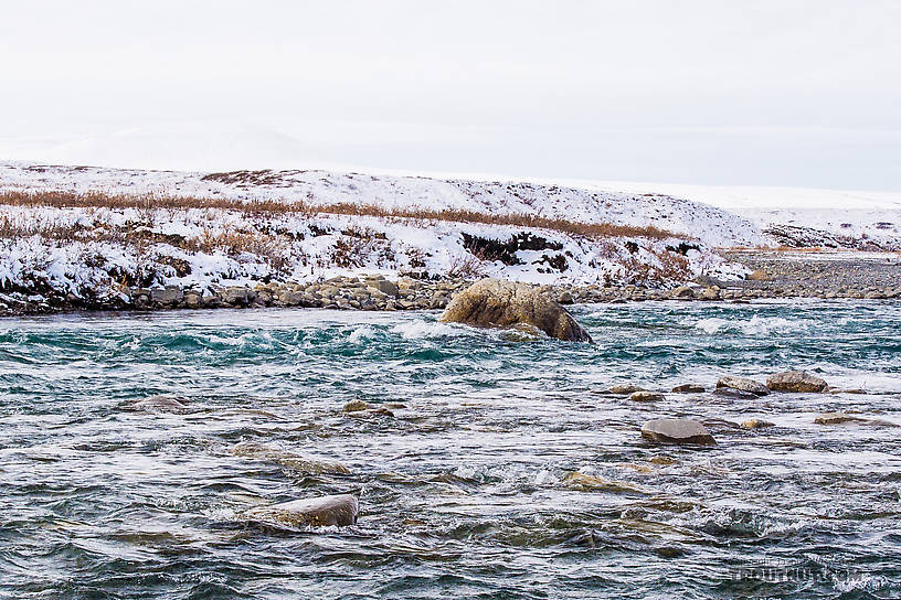 It's hard to tell with nothing for scale and the water not moving in a still picture, but this boulder has probably eaten some boats in its day. The main current funnels anything coming from above down a fast, narrow chute right smack into this thing.