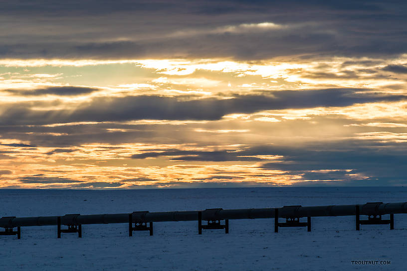 Sunset over the Alaska Pipeline.