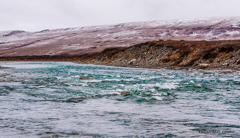 Fun whitewater under normal circumstances, but not to be trifled with on such a remote solo hunt.