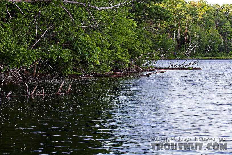  From Lake Owen in Wisconsin.