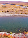 This pool produced a few good grayling for me once I found a safe way down around the high gravel bluff. From the Sagavanirktok River in Alaska.