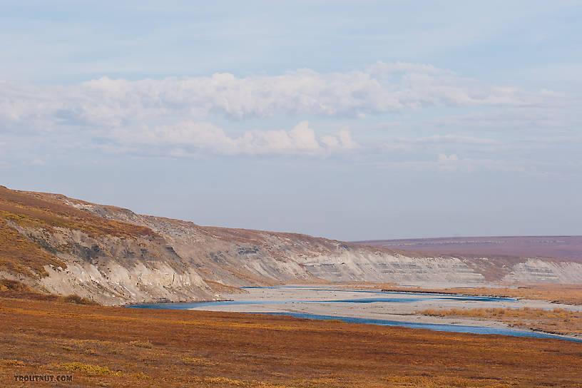  From the Sagavanirktok River in Alaska.