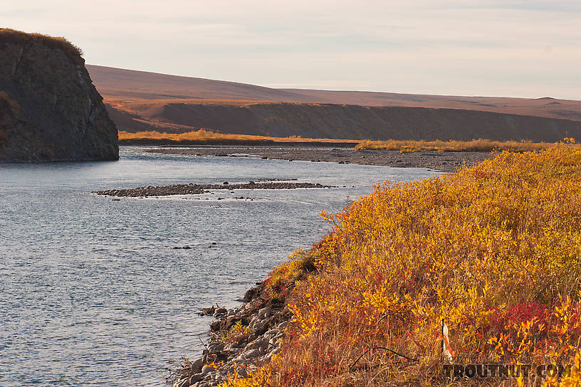  From the Sagavanirktok River in Alaska.