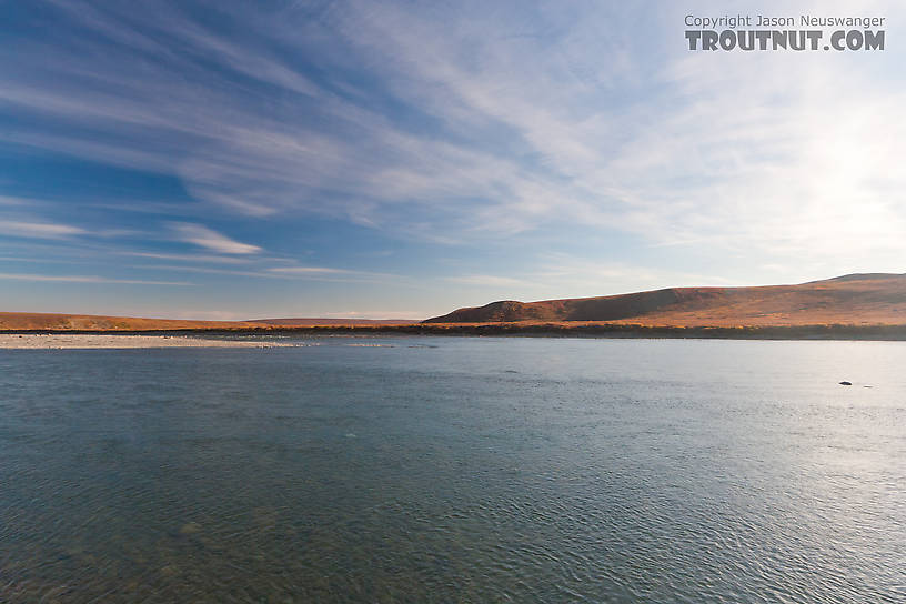 I think this picture really conveys the size of the lower Sag River. From the Sagavanirktok River in Alaska.