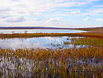  From Galbraith Lake in Alaska.