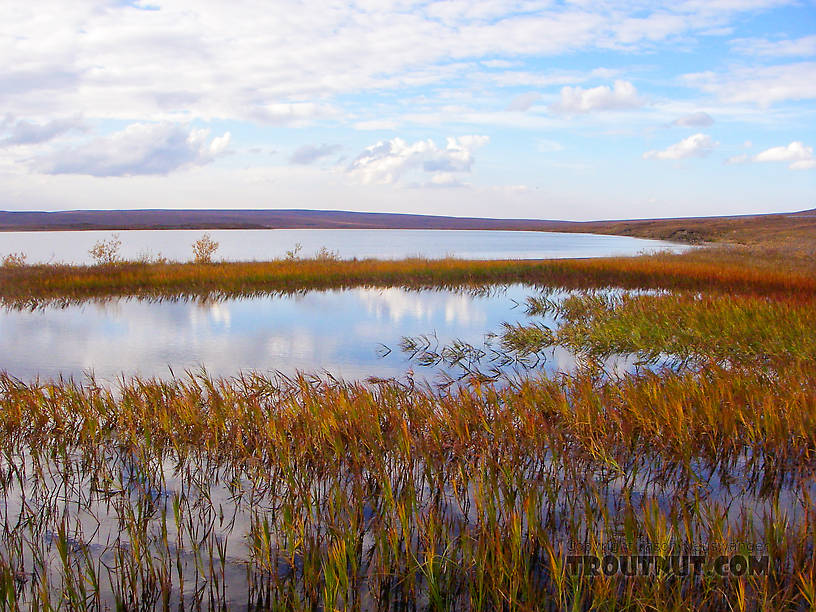  From Galbraith Lake in Alaska.