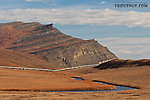 Here Oksrukuyik Creek flows away from the Dalton Highway toward the pipeline.  It eventually grows into one of the major rivers of the North Slope, and the main drainage to the west of the Sag, but where it crosses the road it's just a small grayling stream. From Oksrukuyik Creek in Alaska.