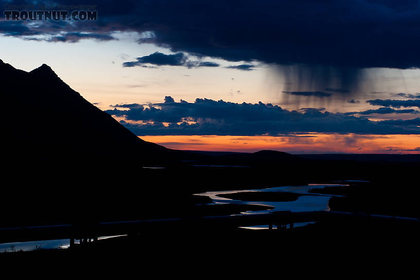 This view of the pipeline, the Atigun River, and an impressive sunset/rise was one of my first views of the North Slope as I came through Atigun Pass in the middle of the night. From the Atigun River in Alaska.