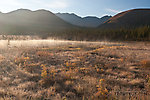 Morning mist over a little marshy pond on the south side of Atigun Pass in the Brooks Range. From Dalton Highway in Alaska.