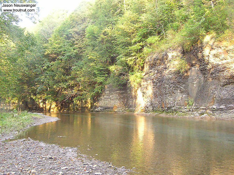  From Salmon Creek in New York.