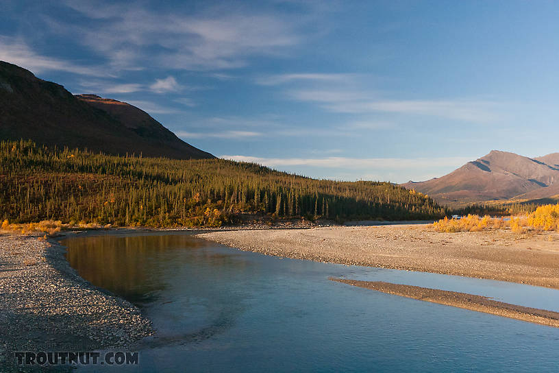  From the Middle Fork of the Koyukuk River in Alaska.