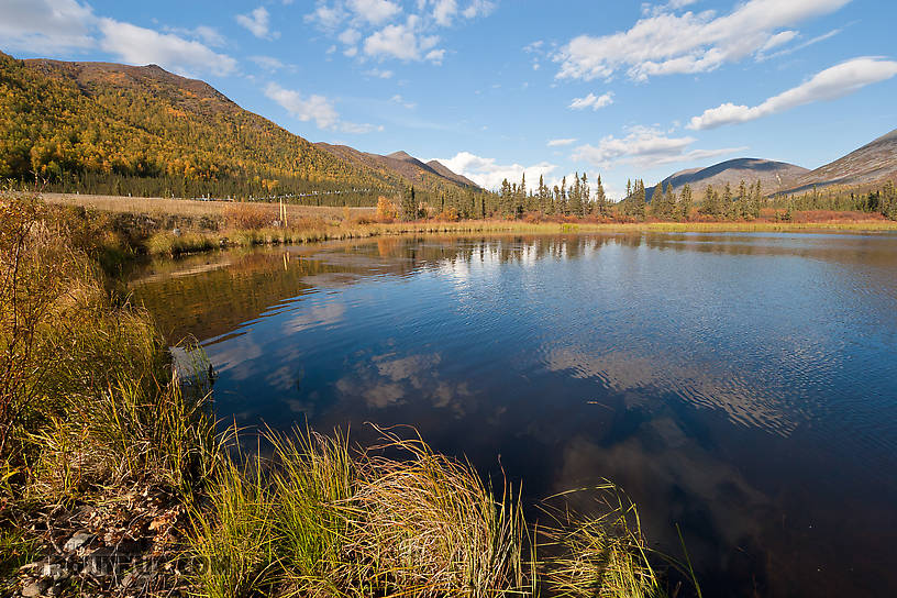  From Grayling Lake in Alaska.