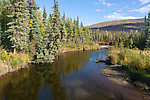  From the North Fork of Bonanza Creek in Alaska.