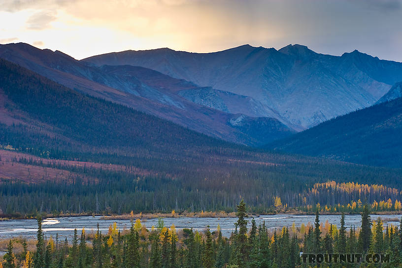  From the Dietrich River in Alaska.