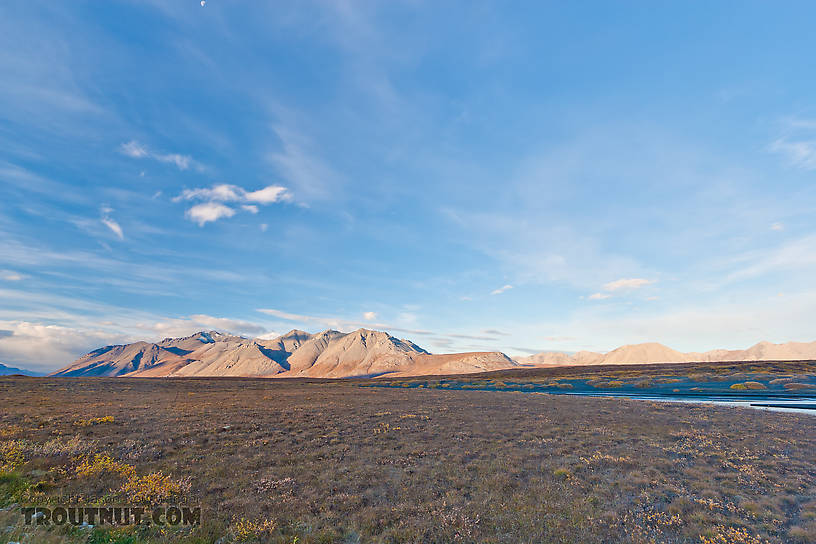  From the Atigun River in Alaska.