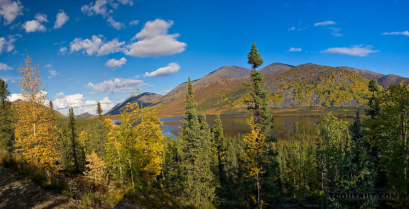  From Grayling Lake in Alaska.