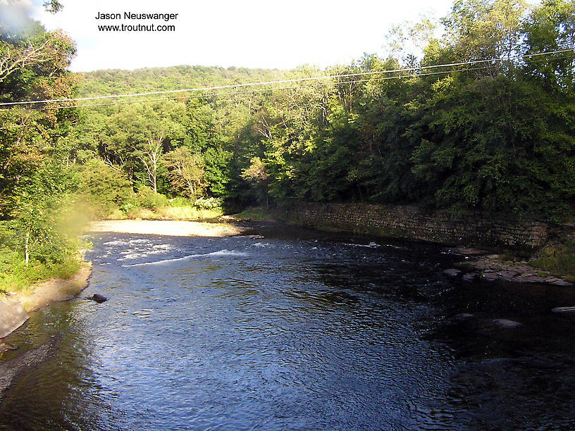  From the Beaverkill River in New York.