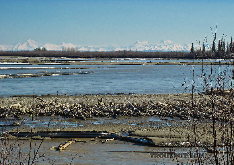 The Tanana offers several nice views of the high peaks of the Alaska Range. From the Tanana River in Alaska.