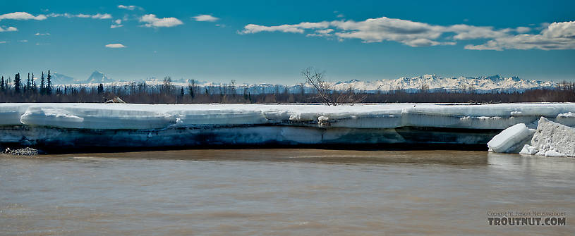 The Tanana still has some big chunks of ice overlaying the gravel bars in many areas. From the Tanana River in Alaska.