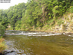  From the Salmon River in New York.