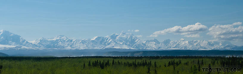  From the Delta River in Alaska.