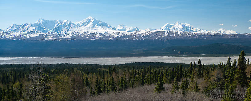  From the Delta River in Alaska.