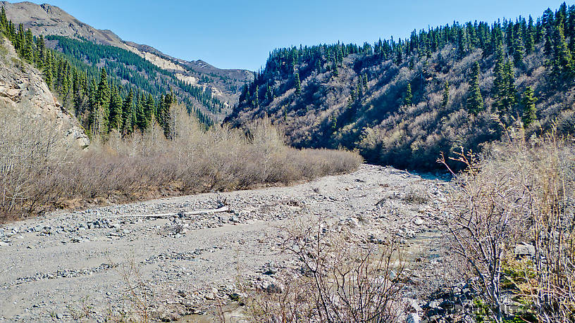  From Bear Creek in Alaska.