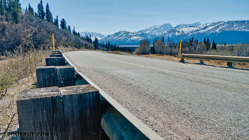  From Bear Creek in Alaska.