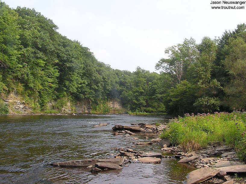  From the Salmon River in New York.