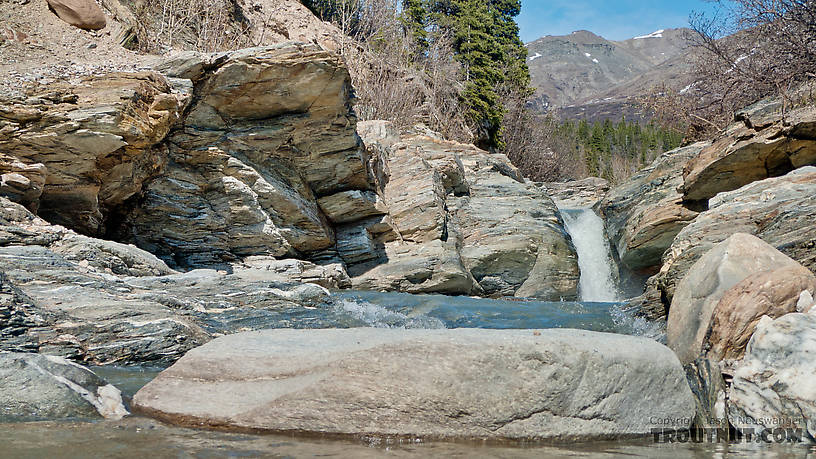  From Gunnysack Creek in Alaska.