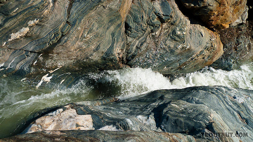  From Gunnysack Creek in Alaska.