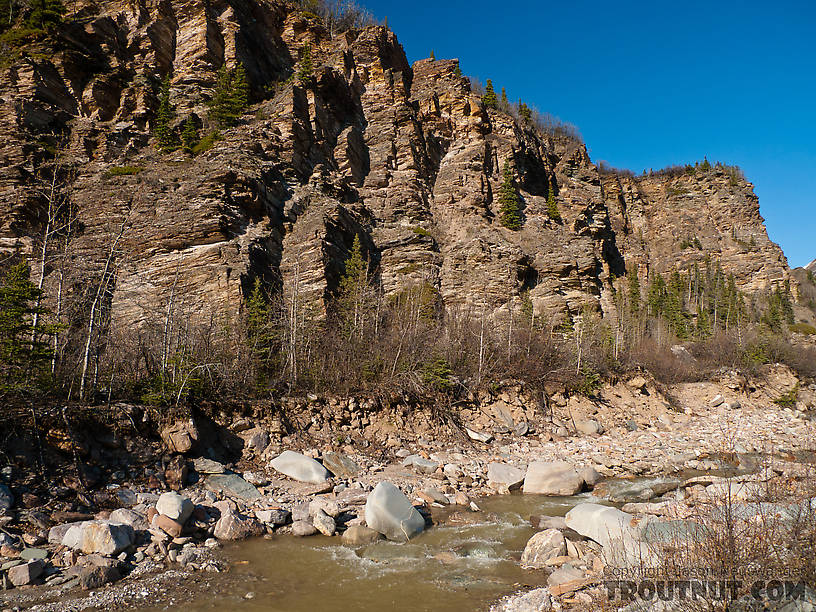  From Gunnysack Creek in Alaska.