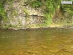 Thousands of big trout and salmon pass by here each year. From the Salmon River in New York.