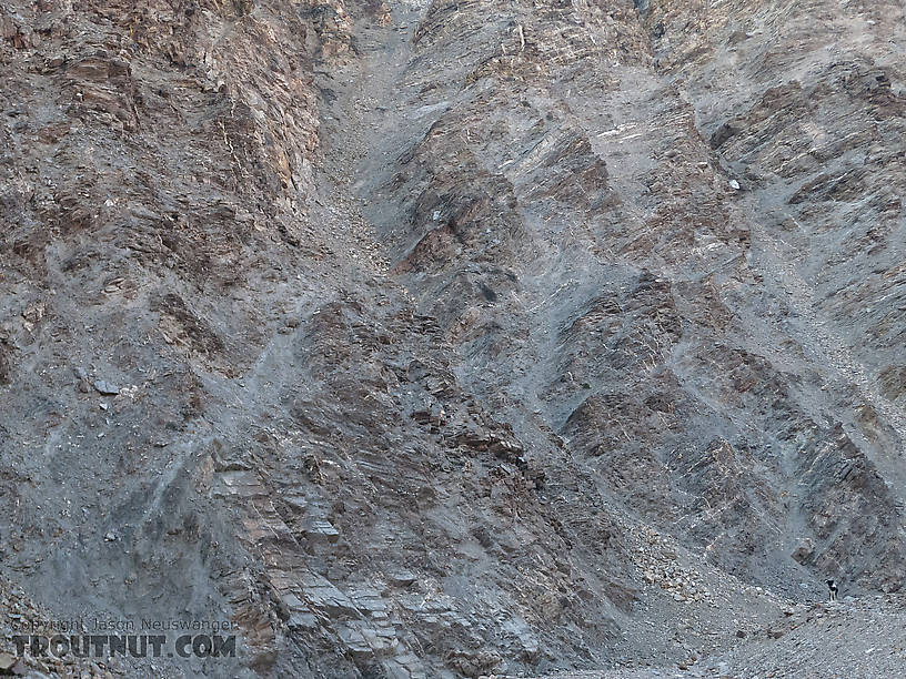 I think this is one of my most interesting portraits of my dog Taiga, although you have to look close to see her! From Gunnysack Creek in Alaska.