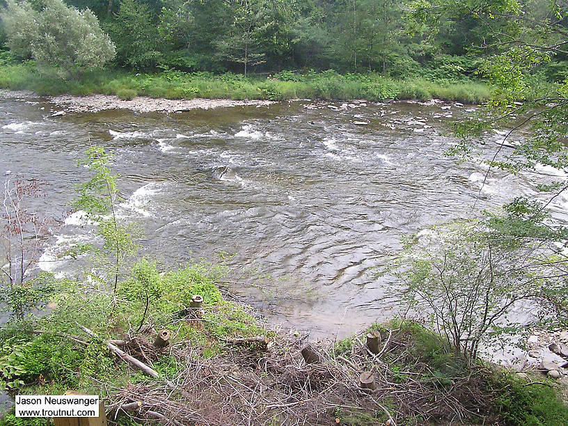  From the Salmon River in New York.