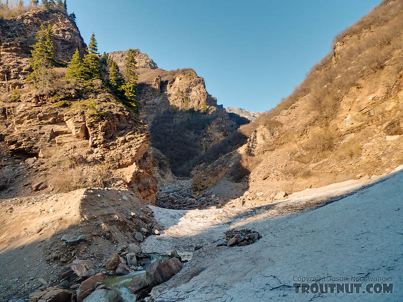  From Gunnysack Creek in Alaska.