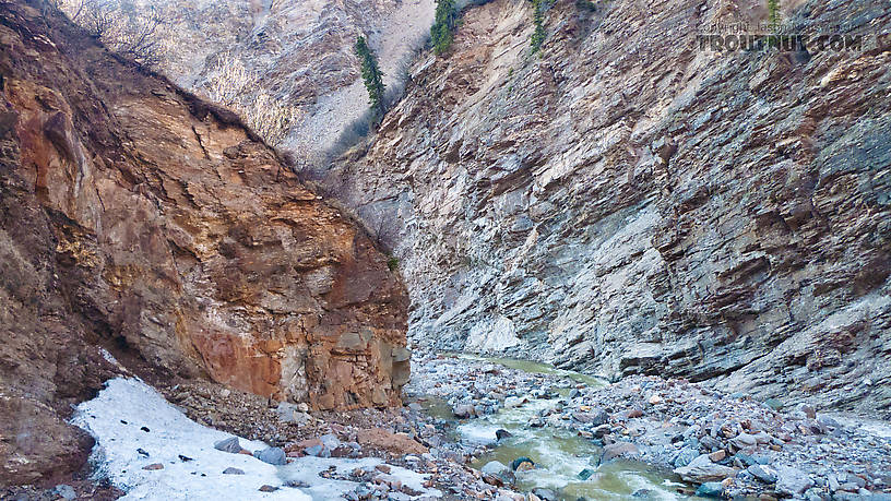  From Gunnysack Creek in Alaska.