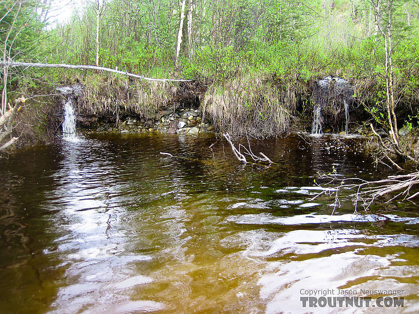  From the Chatanika River in Alaska.