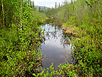  From the Chatanika River in Alaska.