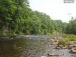  From the Salmon River in New York.