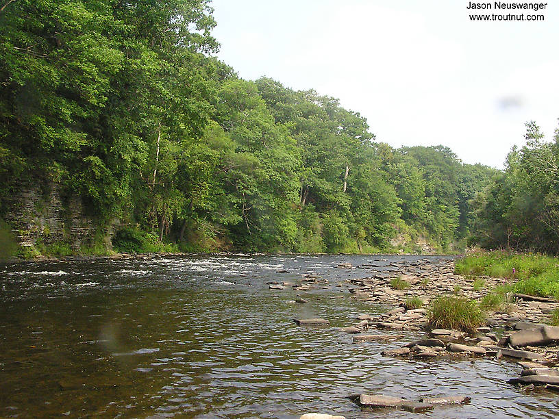  From the Salmon River in New York.