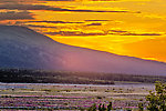  From the Delta River in Alaska.