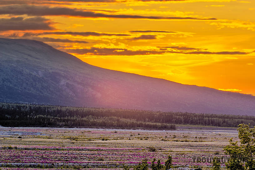  From the Delta River in Alaska.