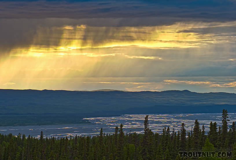  From the Delta River in Alaska.